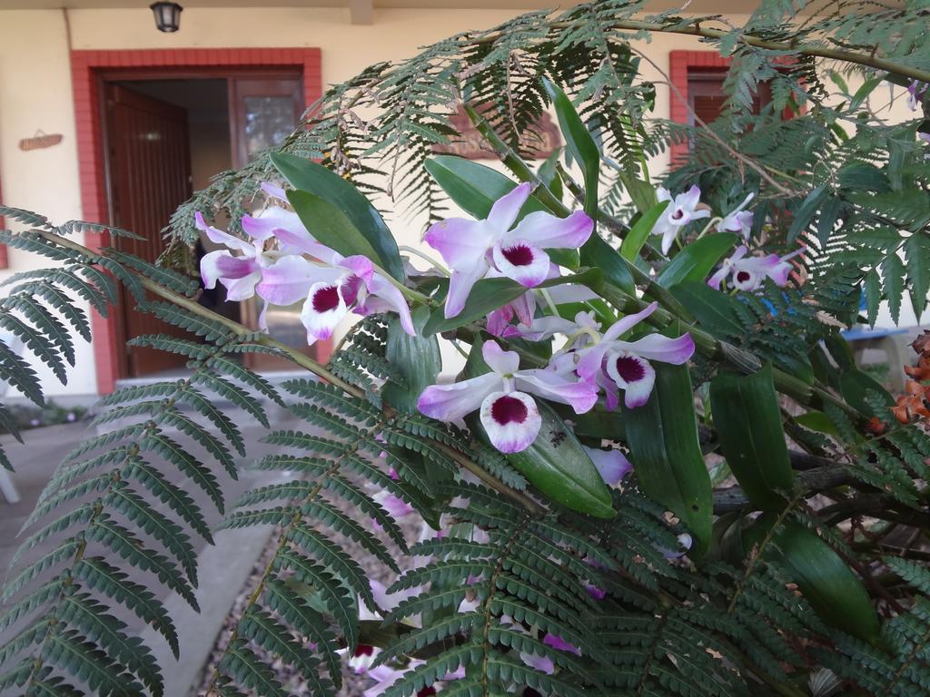 Pousada Floratta Nossa Casa Gramado Dış mekan fotoğraf